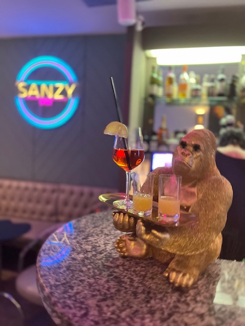 Sanzy Bar
